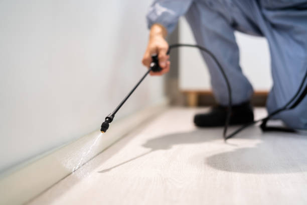 Licensed Termite Control service in Alcorn County County, MS - Nex Pest Control