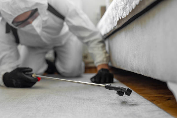 Professional Termite Control technician working in Alcorn County County, MS